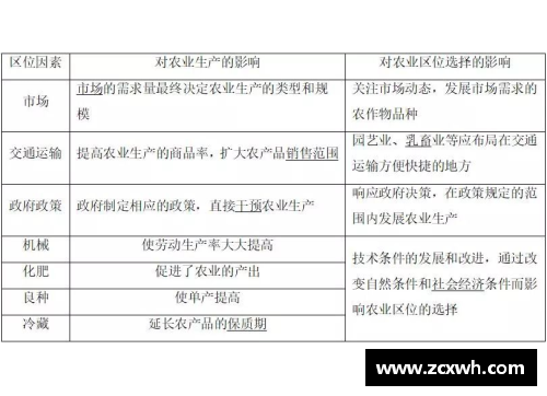 NBA球员薪资合同详解及影响因素分析